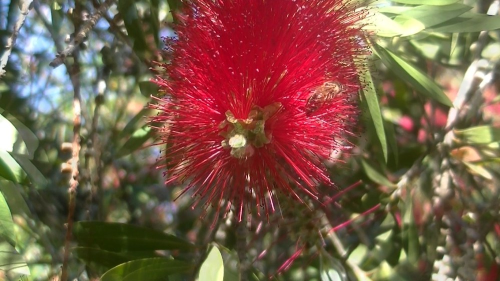 "Opposing mirror" video still, 2023, 6:50 mins